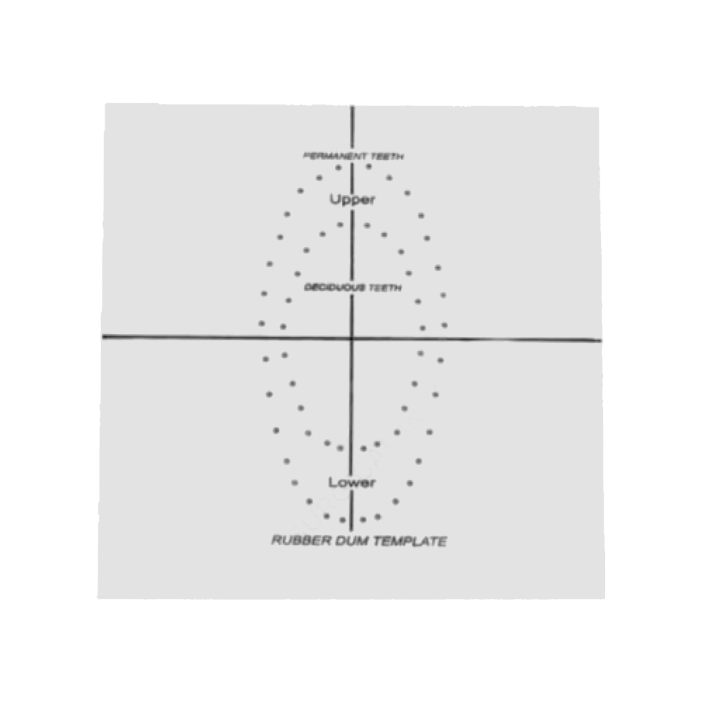 Product Rubber Dam Template